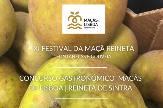 I14769-MACAS-REINETAS-550.JPG