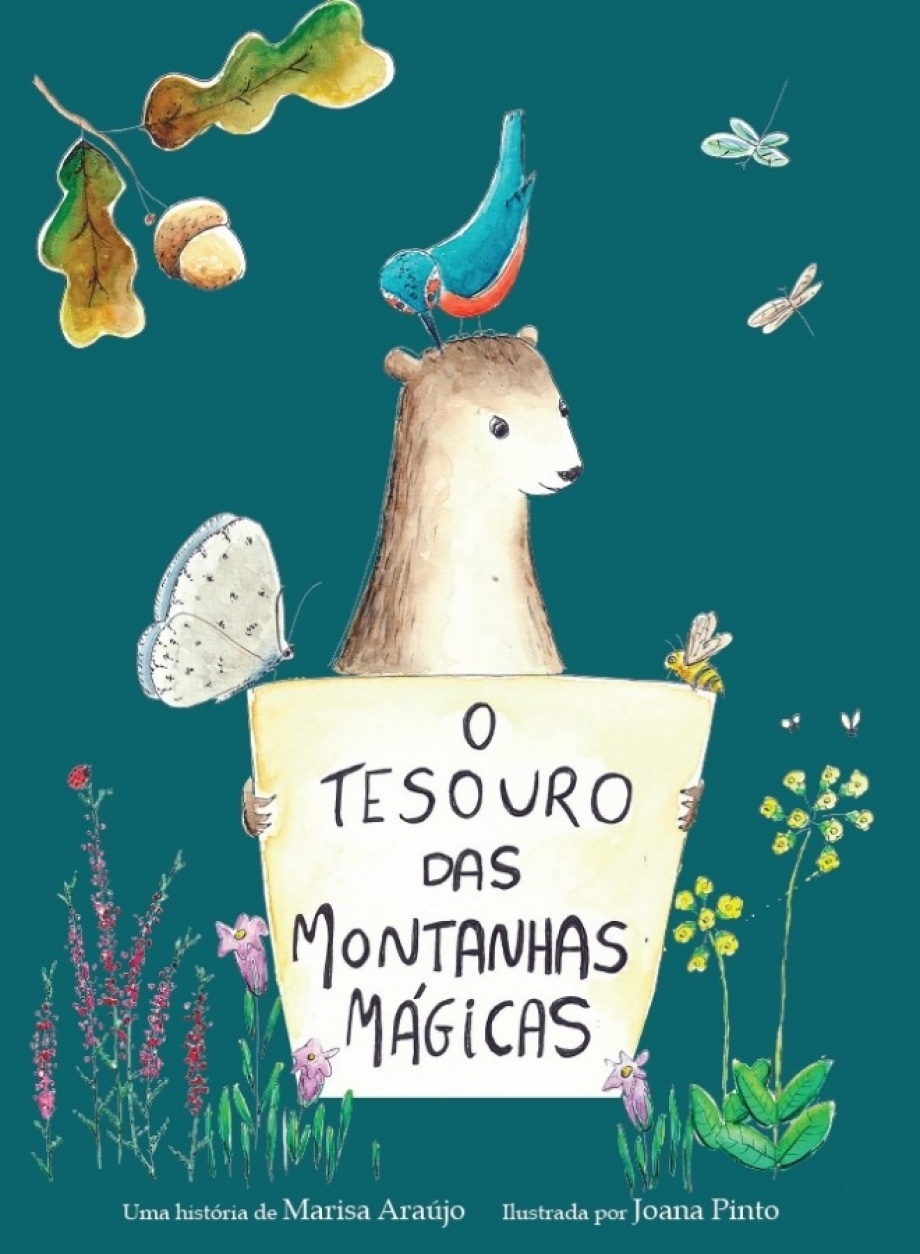 I14815-CAPA-LIVRO-XOTESOURO-DAS-MONTANHAS-MAGICAS.JPG